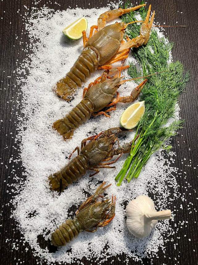 Дрібний